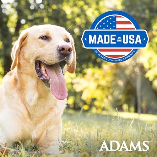 Plus Flea & Tick Foaming Shampoo & Wash for Dogs & Puppies Over 12 Weeks | Sensitive Skin Flea Treatment for Dogs and Puppies | Kills Adult Fleas, Ticks, and Lice On Contact | 10 Oz