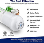 Membrane Solutions T33 Inline Water Filter, 2-Pack 1/4" Quick-Connect Replacement Cartridges for Refrigerator & Ice Maker, Post-Carbon Filter for Reverse Osmosis Systems