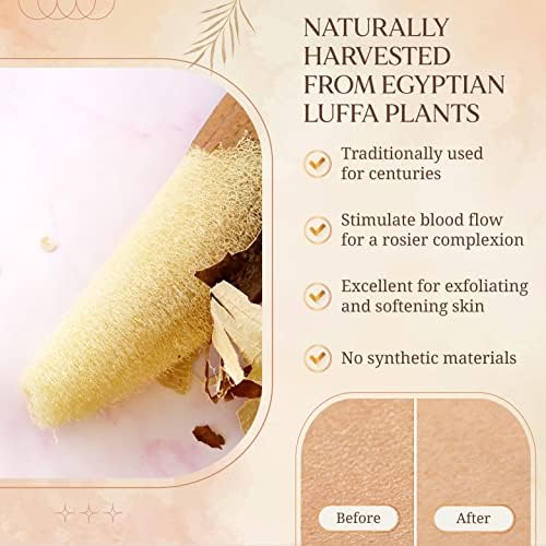 All Natural Loofah Sponge, Pack of 2 Real Egyptian Bath & Shower Exfoliating Loofa Scrubber Sponges for Face, Back & Body, Eco Friendly, No Toxic Chemicals, 6" x 6" by Crafts of Egypt
