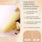 All Natural Loofah Sponge, Pack of 2 Real Egyptian Bath & Shower Exfoliating Loofa Scrubber Sponges for Face, Back & Body, Eco Friendly, No Toxic Chemicals, 6" x 6" by Crafts of Egypt