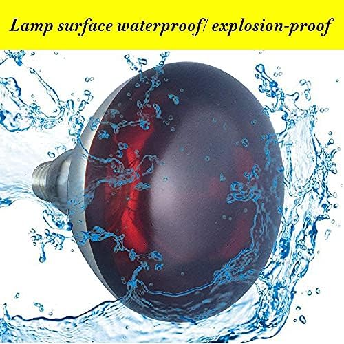 2 Pack Heat Lamp Bulb R40 250 Watt Roasted Red Infrared Explosion Proof Glass Heat Lamp Bulb for Reptiles, Chicks, Food, Bathroom, and Light Therapy, Use E26 Base