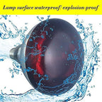 2 Pack Heat Lamp Bulb R40 250 Watt Roasted Red Infrared Explosion Proof Glass Heat Lamp Bulb for Reptiles, Chicks, Food, Bathroom, and Light Therapy, Use E26 Base