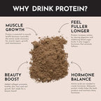 JUST INGREDIENTS Protein Powder | 15 Servings | 24g Protein | Chocolate Flavor Made with 100% Grass-Fed, Non-Denatured Whey | Five Different Sources from Organic Whole Food Ingredients