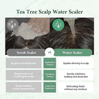 Tea Tree Scalp Water Scaler | Scalp Exfoliator for Itchy Dry Flaky Scalp, Buildup Remover, Treatment for Excess Sebum Oily Greasy Hair | Korean Hair Care Products, Refill 16.9 fl oz