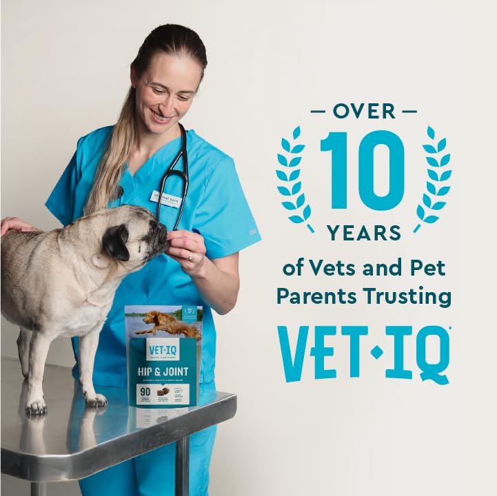 VetIQ Glucosamine Hip & Joint Chews for Dogs, MSM & Krill, 180 Count