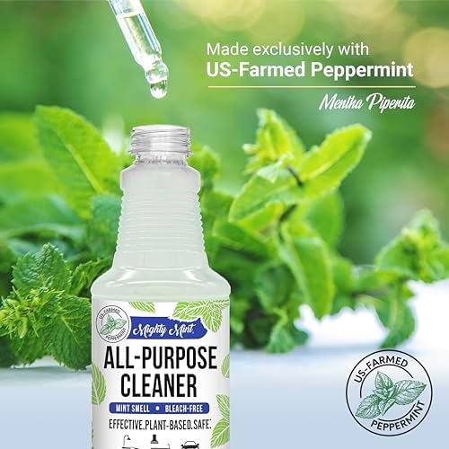 Mighty Mint All-Purpose Cleaner, Non-Toxic Spray for Home, Kitchen, Bathroom, Natural Peppermint Scent, 16oz