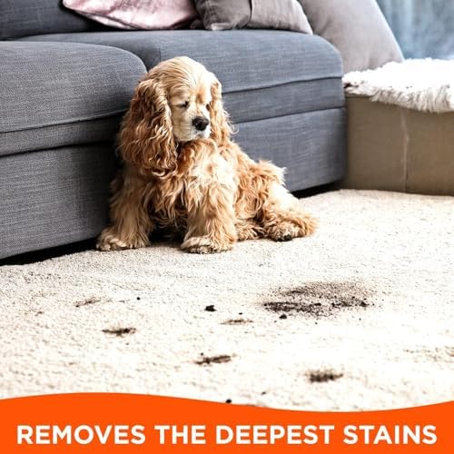 Tide Laundry Stain Remover Spray with Oxi | Stain Remover for Clothes, Carpet, Upholstery, Pet Bedding | Stain Treater Spray for Tough Stains from Wine, Coffee, Grease | 22 Fl Oz (Pack of 2) & 3 Fl Oz