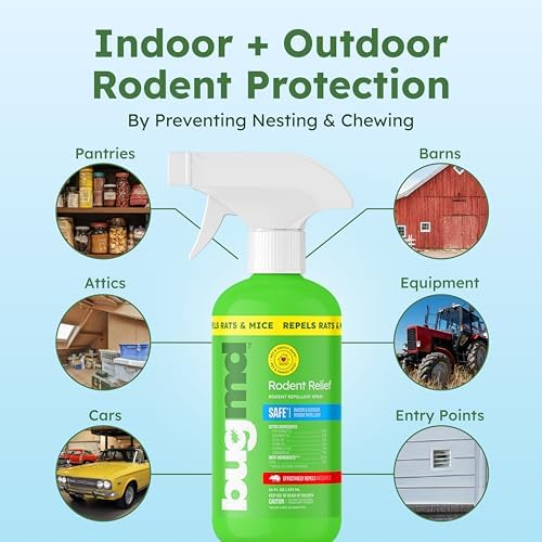 BugMD Peppermint Oil Spray for Rodents - 16oz Mouse Repellent & Rodent Repellent Spray, Natural Mice Repellent with Cinnamon, Clove, and Rosemary Oils - Safe Indoor & Outdoor Use