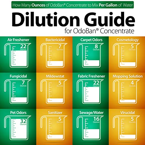 OdoBan Disinfectant Concentrate and Odor Eliminator, Made in the USA, Original Eucalyptus, Lavender and Cotton Breeze Scents, 3 Gallons