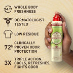 Old Spice Whole Body Deodorant for Men, Total Body Deodorant, Cucumber + Avocado, Aluminum Free Deodorant Spray for 24/7 Freshness // Dermatologist Tested Whole Body Deodorant, 3.5 oz