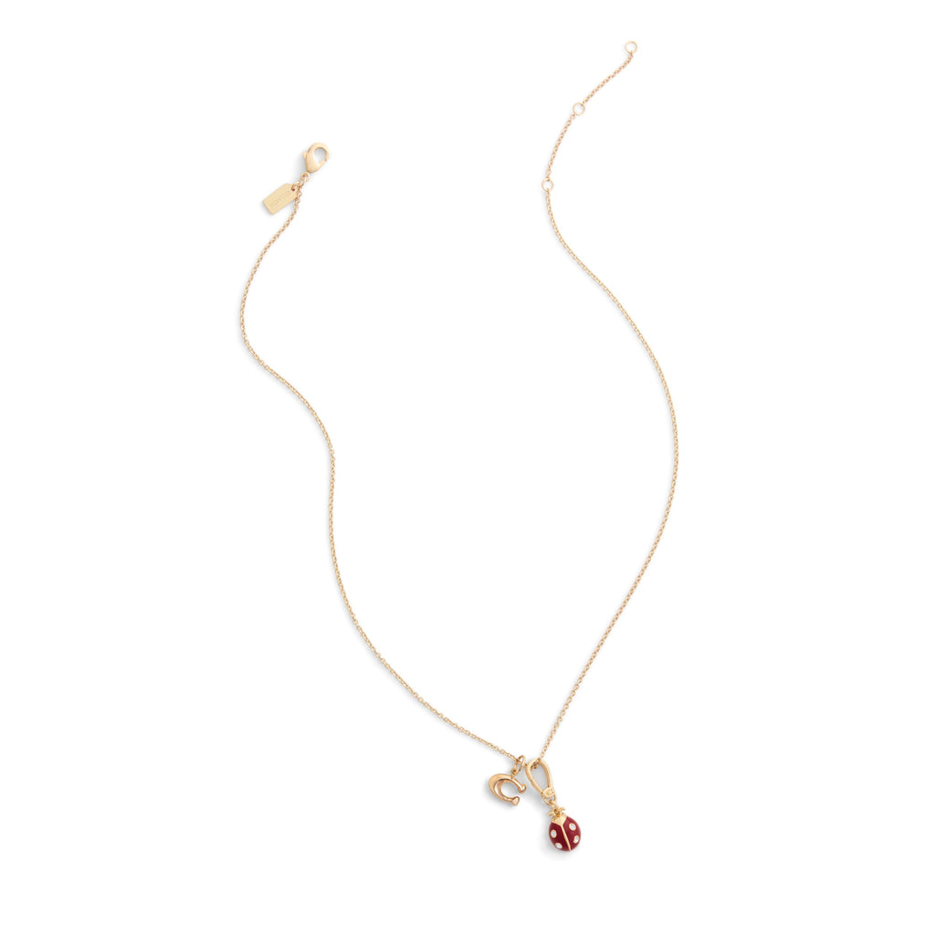 COACH Womens Collectible Signature Ladybug Jewelry Charm