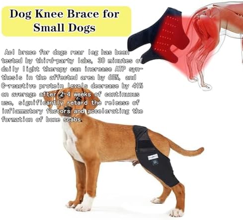 Dog Acl Brace Hind Leg — Red Light Therapy for Dogs Professional Edition Dog Knee Brace for Torn Acl Hind Leg Accelerated Wound Healing Suitable for Small Dogs（Black）— S