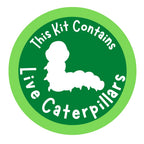 Insect Lore 2 Cups of Caterpillars Basic - 10 Live Baby Painted Lady Caterpillars - Refill for Habitat Kit - Caterpillars and Food Included