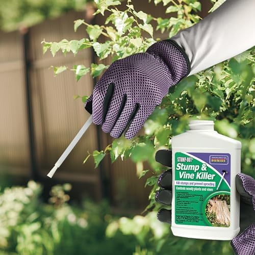 Bonide 2746 Stump & Vine Killer Concentrate, 8 oz Stumps and Vines Without harming Turf. Contains Brush Easy Application. Kills Oak, Poison Ivy and More, 1