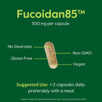 BESTVITE Fucoidan Extract 500mg (Standardized to 85% Fucoidan) (120 Vegetarian Capsules) No Fillers - No Stearates - No Flow Agents