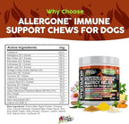 Dog Allergy Relief Chews | Itchy Skin Relief for Dogs | Colostrum Astralagus Omega 3 Bee Pollen Bromelain Echinacea Nettle Leaf Quercetin Licorice Root Spirulina ACV Immune - Pack of 1
