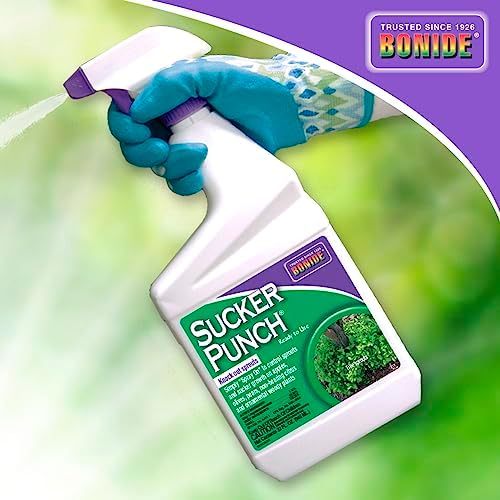 Bonide Sucker Punch, 32 oz Ready-to-Use Spray, Control Unwanted Plant Sprouts, Plant Growth Regulator for Home Garden