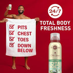 Old Spice Whole Body Deodorant for Men, Total Body Deodorant, Aloe + Rain, Aluminum Free Deodorant Spray for 24/7 Freshness // Dermatologist Tested Whole Body Deodorant, 3.5 oz