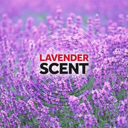 Raid Ant & Roach Killer Lavender 17.5 Ounce (Pack of 12)