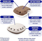 TERRO T334SR Indoor Multi-Surface Liquid Ant Bait and Ant Killer - 8 Discreet Bait Stations - Kills Common Household Ants
