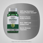Piping Rock Graminex Flower Pollen Extract | 500mg | 60 Capsules