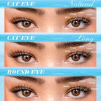 Pawotence Lash Clusters Kit Wispy Lash Extension Kit 8-16mm Natural Cluster Eyelash Extension Kit Individual Lashes 154pcs C Curled Eyelash Clusters with Lash Bond and Seal, Lash Tweezers for Self Use