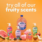 Softsoap Antibacterial Liquid Hand Soap, White Tea & Berry Scent Hand Soap, 11.25 Ounce, 6 Pack