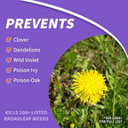 Bonide- Pt Conc Weed Beater Ultra - 16 FL. oz.