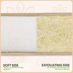 Almooni Natural Egyptian Loofah Back Scrubbers for Use in Shower, Exfoliating Natural Loofah Back Scrubber for Shower for Men and Women to Clean Your Back Deeply - 1 Count (1 Pack)