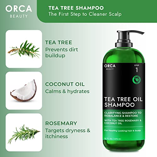 Tea Tree Shampoo and Conditioner Set, Shampoo and Conditioner for Oily Hair 2x16oz Tea Tree Oil Shampoo for Oily Hair, Dry Scalp Dandruff Shampoo and Conditioner for Men & Women, Tea Tree Conditioner