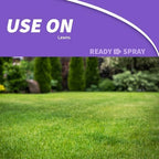 Bonide DuraTurf 29 oz Total Lawn Weed Control Ready-to-Spray, Kills and Prevents Weeds