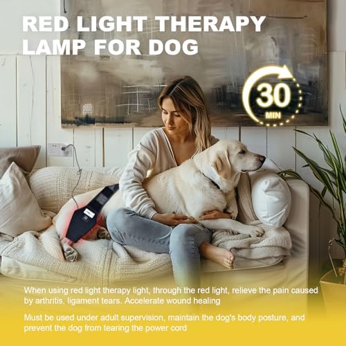 Dog Acl Brace Hind Leg — Red Light Therapy for Dogs Professional Edition Dog Knee Brace for Torn Acl Hind Leg Accelerated Wound Healing Suitable for Small Dogs（Black）— S