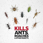 Raid Ant Killer Spray Pine Forest (17.5 Ounce (Pack of 8)