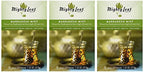 Mighty Leaf Tea Marrakesh Mint Green Tea, 15-Count Whole Leaf Pouches (Pack of 3)