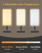 FARRIDE Light Therapy Lamp 10000 Lux Sun Lamp with 3 Color Temperatures, Adjustable Brightness, 4 Timer & Memory Function, Full Spectrum Light, Sunlight Lamp with Remote Control for Home, Happy Life