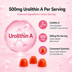 ONSET Foundation Gummies, Strawberry Flavored, 60 Gummies