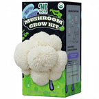 Organic Mushroom Growing Kit, Lion's Mane Mushroom Grow Kit with All Accessories, Grow Fresh Edible Mushrooms Indoor, USDA Certified Organic, Non-GMO, Easy to Grow at Home