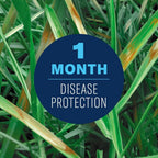 BioAdvanced Fungus Control for Lawns - Ready-to-Spray - Cures and Prevents Lawn Diseases - Up to 1 Month Protection - Covers 5,000 Square Feet - 32 fl oz Bottle
