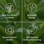 Nature's Sunshine Paw Paw Cell-Reg, 180 Capsules | Contains over 50 Acetogenins to Modulate ATP Production and Blood Supply