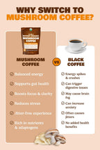 10-in-1 USDA Certified Organic Mushroom Coffee Instant, Instant Mushroom Coffee Brazilian Dark Roast for Better Energy, Focus, Gut Health, 60 Servings Regular Caffeine - ShroomDNA
