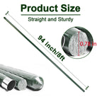 Garden Stakes 8ft, Metal Plant Stakes 8 Feet for Gardening and Farm, 0.78 Inch Dia Plastic Coated Plant Support for Tomato, Cucumber, Bean, Flower, Potted and More Climbing Plants 10 Pack
