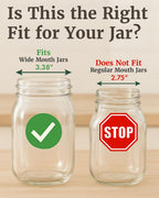 Elementi Sprouting Lids for Wide Mouth Mason Jars (Set of 4), Sprouting Jar Kit for Organic Sprouts, Alfalfa & Mung Bean Sprouts Grow Kit, 316 Stainless Steel Mesh Screen Strainer Lid (Mint Green)