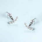 Limerencia F136 Hypoallergenic Pure Titanium Earrings for Women