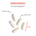 ARG Artemisinin - Delivers 200 mg Concentrated Sweet Wormwood Extract per Serving - Supports Immune and Digestive Health - Hypoallergenic & Vegetarian - 150 Servings - 300 Capsules