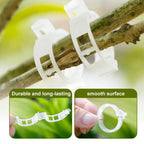 Secured Plastic Plant Clip, 2025 New Garden Plant Support Clips for Climbing Plants, Plastic Trellis Clips Tomato Grape Vine Vegetables Plant Fixing Clips (50, Green)