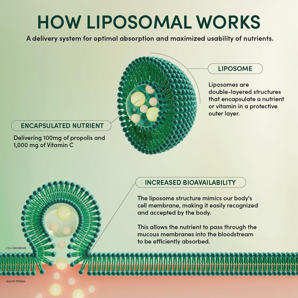 Propolis Liposomal Vitamin C by Beekeeper's Naturals, 1000mg Vitamin C, Propolis & Organic Honey, Supercharged Immune Support & Increased Bioavailibity for Max Absorption, 12 Ct