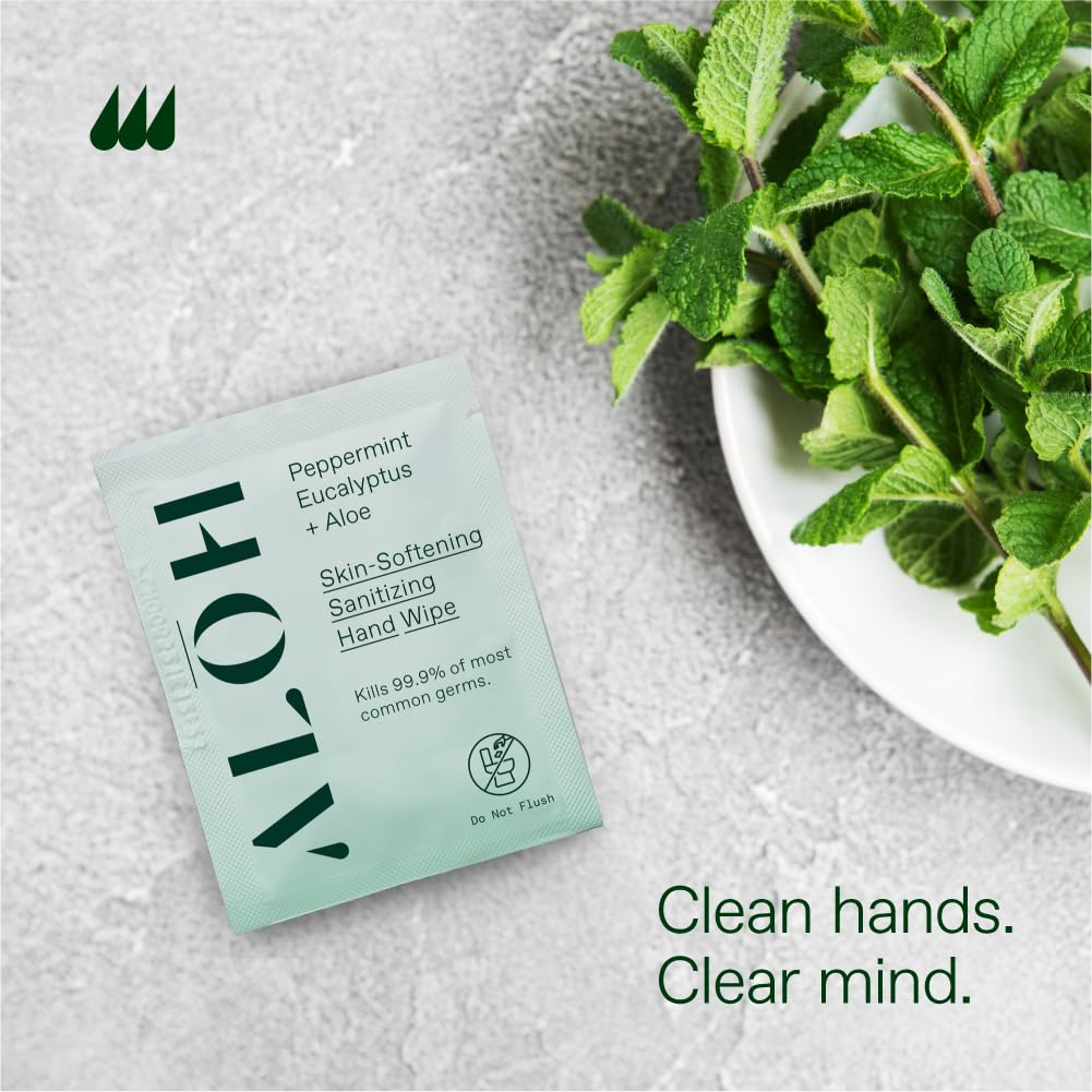 AL��H Skin - Softening Sanitizing Hand Wipes ��� Peppermint + Eucalyptus Aloe (1 Box of 20 Individually Wrapped Wipes)