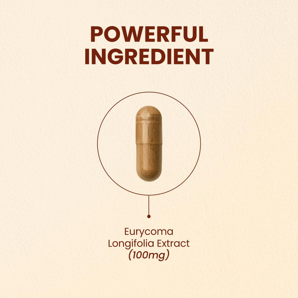CHOQ Tongkat Ali Extract 100mg - Testosterone Booster for Men - LJ100 Longjack Clinically Proven - Malaysian Eurycoma Longifolia with 40% Glycosaponins - 30 Capsules