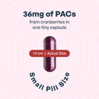 Szio+ Utiva Cranberry PACs – Clinically Studied Ingredients 36mg PACs Extract - UTI Prevention for Women - Urinary Tract Health – Cranberry Supplement Pills for Bladder Health, 30 Vegi Capsules