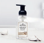 J.R. Watkins Foaming Hand Soap Pump with Dispenser, Moisturizing Hand Soap Foam, Alcohol-Free and Cruelty-Free, Use for Kitchen or Bathroom, Noix De Coco/Coconut, 9 fl oz, 3 Pack